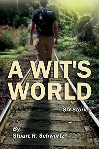 9781618564375: A Wit's World