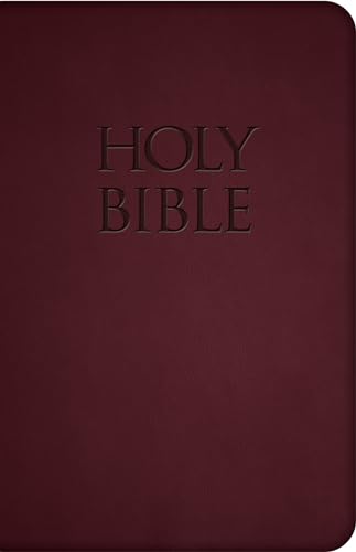 Stock image for NABRE - New American Bible Revised Edition (Red Premium Ultrasoft) for sale by Austin Goodwill 1101