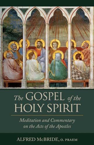 Beispielbild fr The Gospel of the Holy Spirit: Meditations and Commentary on the Acts of the Apostles zum Verkauf von ThriftBooks-Atlanta