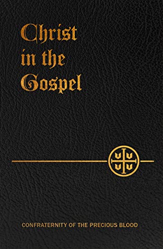 Beispielbild fr Christ in the Gospel zum Verkauf von Lakeside Books