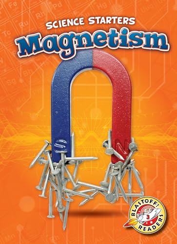 Stock image for Magnetism for sale by Revaluation Books