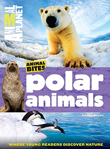 Stock image for Polar Animals (Animal Planet Animal Bites) for sale by ThriftBooks-Atlanta