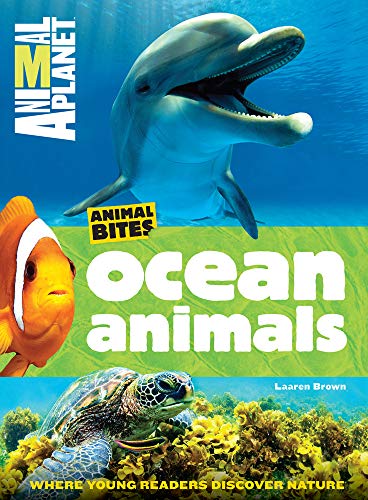 Beispielbild fr Ocean Animals (Animal Planet Animal Bites) zum Verkauf von Wonder Book