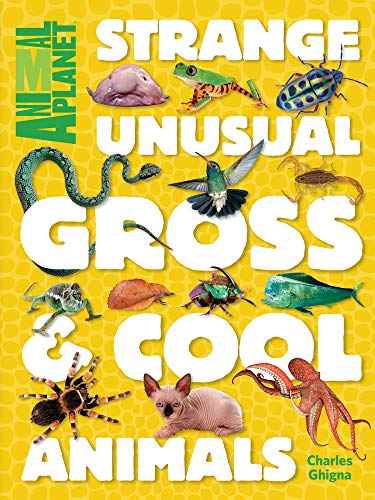 Stock image for Strange, Unusual, Gross & Cool Animals (an Animal Planet Book) for sale by ThriftBooks-Atlanta