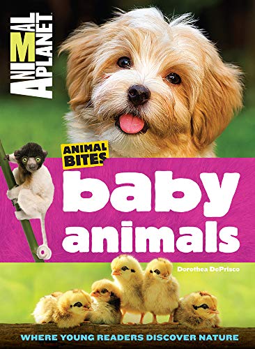 Stock image for Baby Animals (Animal Planet Animal Bites) for sale by ThriftBooks-Atlanta