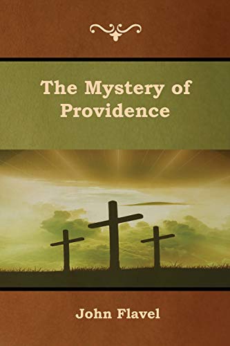 Beispielbild fr The Mystery of Providence zum Verkauf von Buchpark