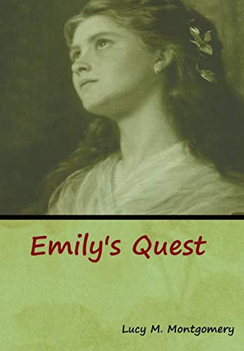 9781618957306: Emily's Quest