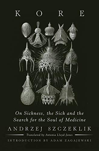 Imagen de archivo de Kore : On Sickness, the Sick, and the Search for the Soul of Medicine a la venta por Better World Books