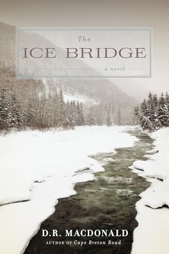 9781619021181: The Ice Bridge: A Novel