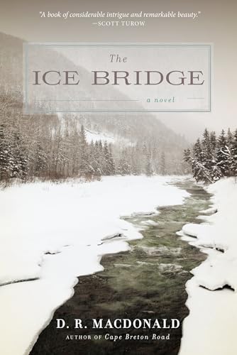 9781619023185: The Ice Bridge
