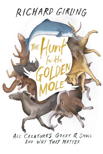 Beispielbild fr The Hunt for the Golden Mole : All Creatures Great and Small and Why They Matter zum Verkauf von Better World Books