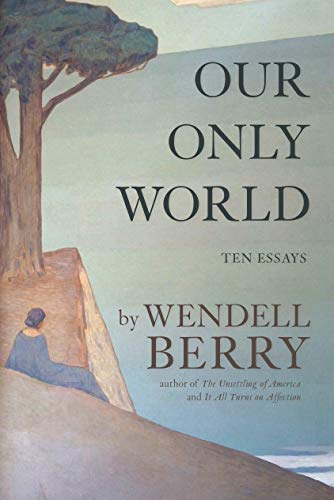 Stock image for Our Only World: Ten Essays for sale by ThriftBooks-Dallas