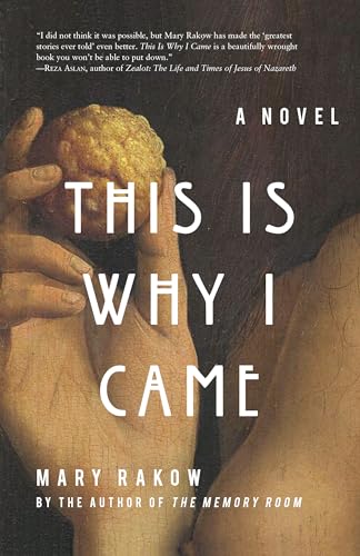 9781619025752: This is Why I Came: A Novel