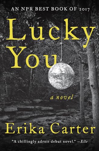 Stock image for Lucky You: A Novel for sale by HPB-Red