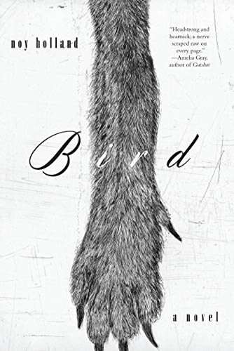 Imagen de archivo de Bird: A Novel a la venta por Books-FYI, Inc.