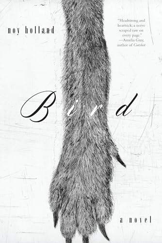 9781619028272: Bird: A Novel