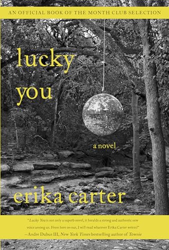 9781619028999: Lucky You: A Novel