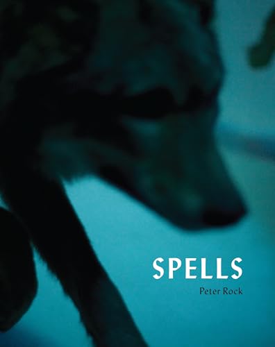 Beispielbild fr Spells : A Novel Within Photographs zum Verkauf von Better World Books