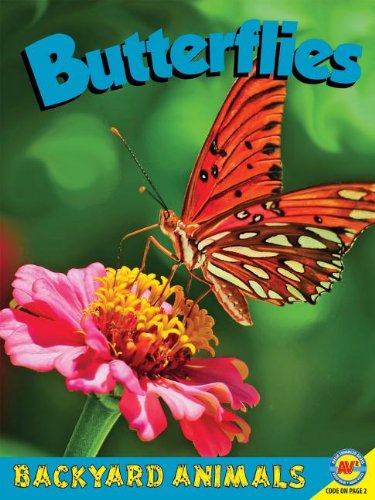 9781619130647: Butterflies (Backyard Animals)