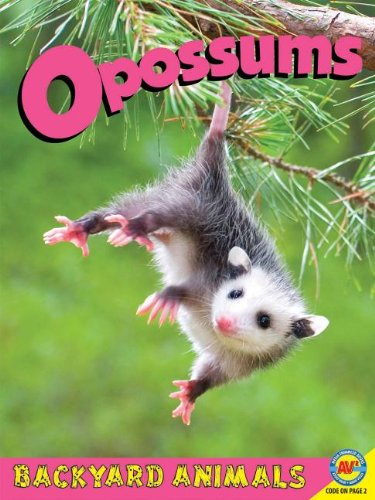 9781619130678: Opossums (Backyard Animals)