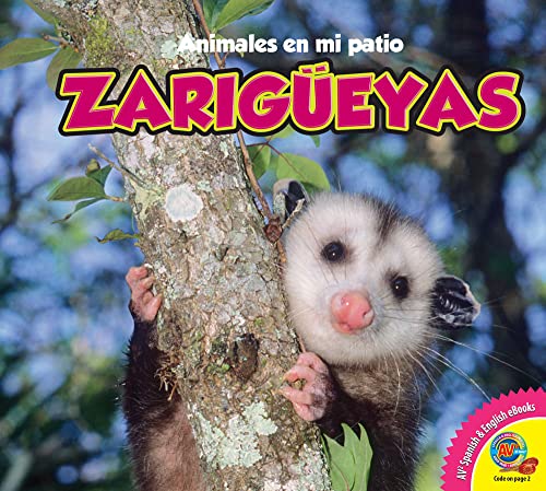 9781619131941: Zarigueyas, With Code (Animales En Mi Patio)