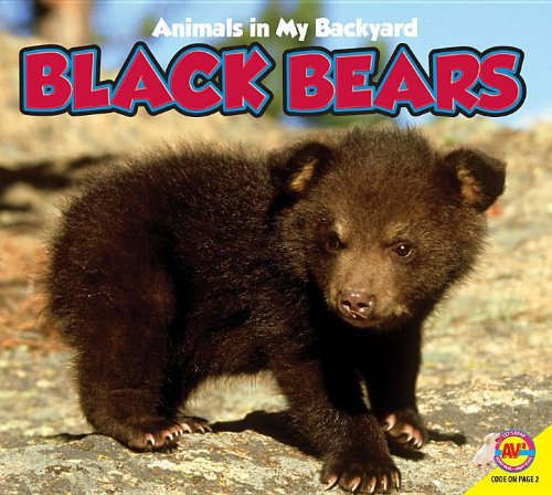 Beispielbild fr Black Bear zum Verkauf von Better World Books