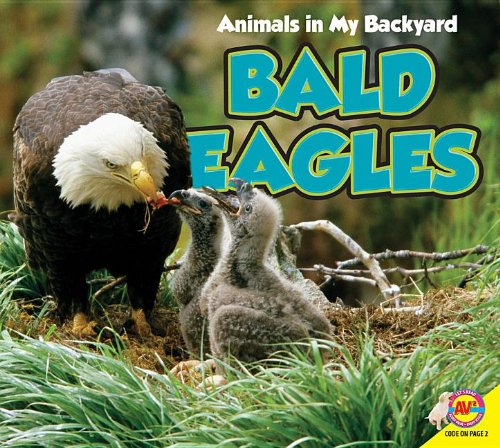 9781619132689: Bald Eagles (Animals in My Backyard)