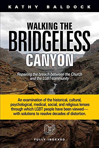 Beispielbild fr Walking the Bridgeless Canyon: Repairing the Breach Between the Church and the LGBT Community zum Verkauf von HPB-Red