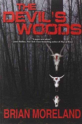 Stock image for The Devil's Woods for sale by medimops