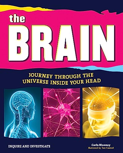 Beispielbild fr The Brain: Journey Through the Universe Inside Your Head zum Verkauf von ThriftBooks-Atlanta