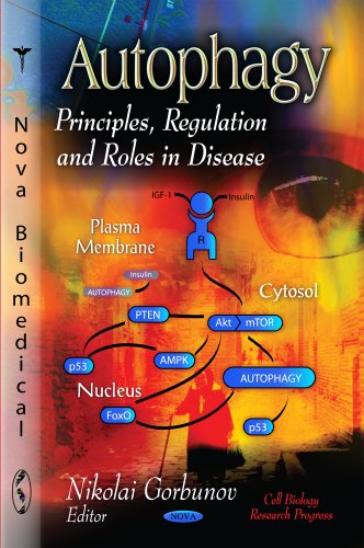 9781619422667: Autophagy: Principles, Regulation & Roles in Disease (Cell Biology Research Progress)