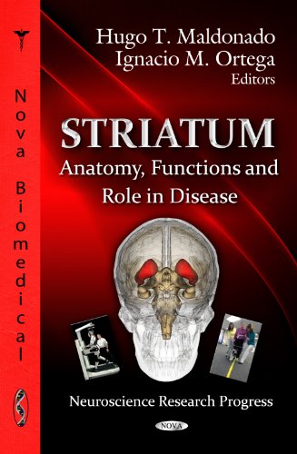 9781619423848: Striatum: Anatomy, Functions and Role in Disease