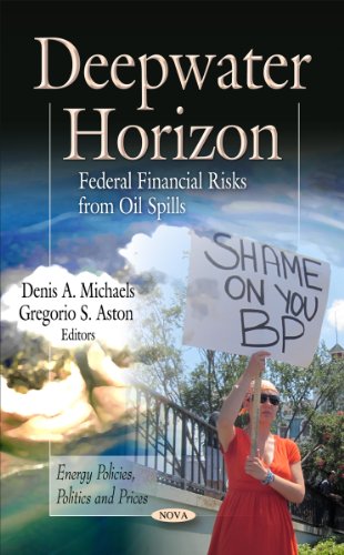 9781619424999: Deepwater Horizon: Federal Financial Risks from Oil Spills (Energy Politics, Politics and Prices)