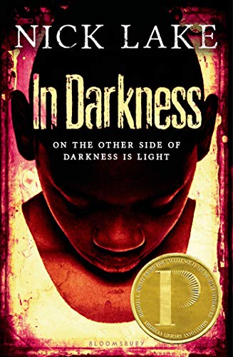 Stock image for In Darkness (Holt McDougal Library) for sale by Orion Tech