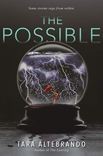 Imagen de archivo de The Possible a la venta por BooksRun