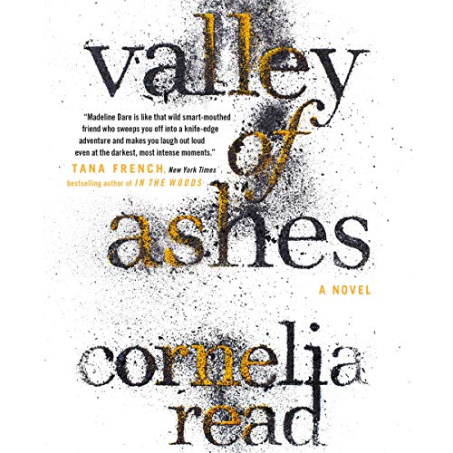 9781619691643: Valley of Ashes