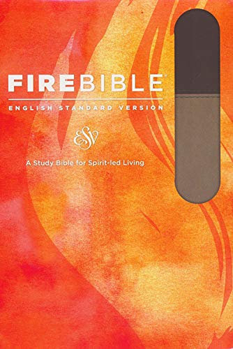 Beispielbild fr ESV Fire Bible (Flexisoft, Slate/Charcoal, Red Letter): English Standard Version zum Verkauf von Red's Corner LLC