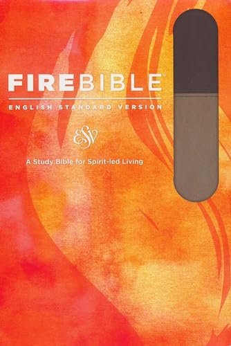 Stock image for Holy Bible: Fire Bible, English Standard Version, Slate Blue/Charcoal Flexisoft Leather for sale by Revaluation Books