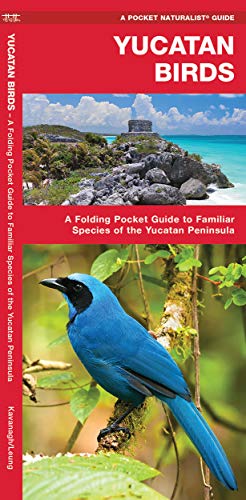 Beispielbild fr Yucatan Birds zum Verkauf von Better World Books