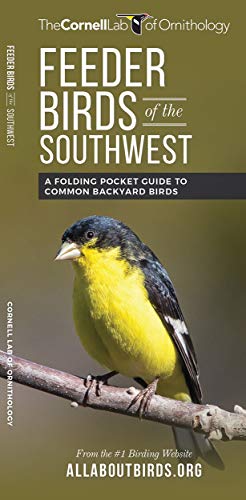 Stock image for Feeder Birds of the Southwest: A Folding Pocket Guide to Common Backyard Birds for sale by Revaluation Books
