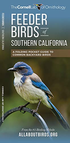 9781620052242: Feeder Birds of Southern California: A Folding Pocket Guide to Common Backyard Birds