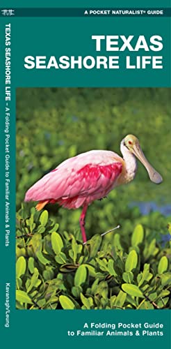 Stock image for Texas Seashore Life : A Folding Pocket Guide to Familiar Coastal Plants and Animals for sale by Better World Books