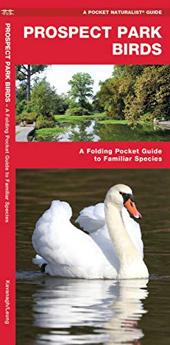 Beispielbild fr Prospect Park Birds: A Folding Pocket Guide to Familiar Species (Wildlife and Nature Identification) zum Verkauf von Books From California