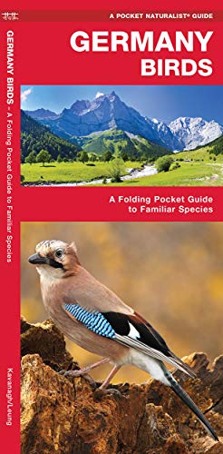 Stock image for Germany Birds A Folding Pocket Guide to Familiar Species Pocket Naturalist Guide for sale by PBShop.store US