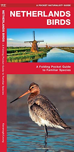 Beispielbild fr Netherland Birds: A Folding Pocket Guide to Familiar Species (Pocket Naturalist Guide) (Wildlife and Nature Identification) zum Verkauf von Monster Bookshop