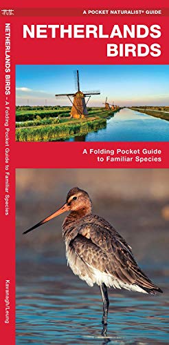 Stock image for Netherland Birds A Folding Pocket Guide to Familiar Species Pocket Naturalist Guide Wildlife and Nature Identification for sale by PBShop.store US