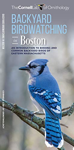 9781620053553: Backyard Birdwatching in Boston: An Introduction to Birding and Common Backyard Birds of Eastern Massachusetts