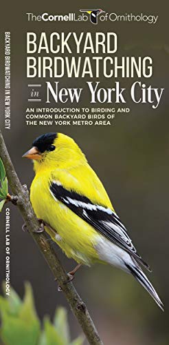 9781620053577: Backyard Birdwatching in New York City: An Introduction to Birding and Common Backyard Birds of the New York Metro Area