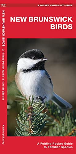 

New Brunswick Birds: A Folding Pocket Guide to Familiar Species (Wildlife and Nature Identification)