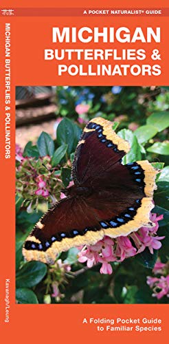 Beispielbild fr Michigan Butterflies & Pollinators: A Folding Pocket Guide to Familiar Species (Pocket Naturalist Guide) zum Verkauf von Buchpark